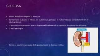 GLUCOSA
• Valores de regencia negativa (< 30 mg/dL )
• Normalmente la glucosa es filtrada por el glomerulo, pero esta es reabsorbida casi completamente en el
tubulo próximal.
• La glucosuria ocurre cuando la carga de glucosa filtrada excede la capacidad de reabsorción del tubulo.
• Es decir 180 mg/dL.
• Dentro de las diferentes causas de la glucosuria está la diabetes mellitus.
 