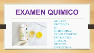 EXAMEN QUIMICO
GLUCOSA
PROTEINAS
PH
BILIRRUBINAS
UROBILINOGENO
ERITROCITOS
CETONAS
NITRITOS
LEUCOCITOS
 