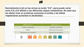 Normalmente el ph en las orinas es ácido “6.0”, pero puede variar
entre 4.6 y 8.0 debido a las diferentes etapas metabólicas. Se sabe que
las dietas ricas en proteínas aumentan la acidez y las dietas
vegetarianas aumentan la alcalinidad.
pH
pH menor a 7 pH mayor a 7
Acidosis metabólica Alcalosis metabólica
Fiebre Infecciones bacterianas
Intoxicación por metanol Ingestión de diuréticos
 
