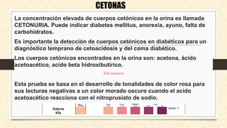 La concentración elevada de cuerpos cetónicos en la orina es llamada
CETONURIA. Puede indicar diabetes mellitus, anorexia, ayuno, falta de
carbohidratos.
Es importante la detección de cuerpos cetónicos en diabéticos para un
diagnóstico temprano de cetoacidosis y del coma diabético.
Los cuerpos cetónicos encontrados en la orina son: acetona, ácido
acetoacético, acido beta hidroxibutírico.
Esta prueba se basa en el desarrollo de tonalidades de color rosa para
sus lecturas negativas a un color morado oscuro cuando el acido
acetoacético reacciona con el nitroprusiato de sodio.
CETONAS
Tira reactiva
 