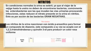 En condiciones normales la orina es estéril, ya que al viajar de la
vejiga hasta la uretra no deben de encontrarse bacterias, comúnmente
las enterobacterias son las que invaden las vías urinarias provocando
infecciones, estas reducen el nitrato presente en la orina en nitritos.
Esto es por acción de las bacterias GRAM NEGATIVAS.
Los nitritos de la orina reaccionan con ácido p-arsanílico para formar
un compuesto de diazonio, este compuesto a su vez se acopla con el
1,2,3,4-tetrahidrobenzo y quinolin 3-ol para producir un color rosa
uniforme
NITRITOS
Tira reactiva
 