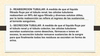 2-. REABSORCION TUBULAR: A medida de que el líquido
filtrado fluye por el túbulo renal, las células tubulares
reabsorben un 99% del agua filtrada y diversos solutos útiles,
por lo tanto reabsorción se refiere al regreso de las sustancias
al torrente sanguíneo.
3.- SECRECION TUBULAR: A medida de que el liquido fluye por
el túbulo renal y el túbulo colector, las células tubulares
secretan sustancias como desechos, fármacos e iones en
exceso, la secreción tubular remueve sustancias de la sangre
para que finalmente todos los residuos se excreten en forma de
orina.
 