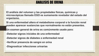 ANALISIS DE ORINA
El análisis del volumen y las propiedades físicas, químicas y
microscópicas llamado EGO es sumamente revelador del estado del
organismo.
Si una enfermedad altera el metabolismo corporal o la función renal
pueden aparecer sustancias que normalmente no están presentes.
Un examen general de orina es comúnmente usado para:
-Detectar signos iniciales de una enfermedad
-Detectar signos de diabetes o enfermedad renal
-Verificar presencia de sangre en orina
-Diagnosticar infecciones urinarias
 