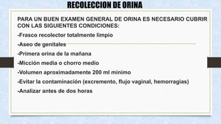 PARA UN BUEN EXAMEN GENERAL DE ORINA ES NECESARIO CUBRIR
CON LAS SIGUIENTES CONDICIONES:
-Frasco recolector totalmente limpio
-Aseo de genitales
-Primera orina de la mañana
-Micción media o chorro medio
-Volumen aproximadamente 200 ml mínimo
-Evitar la contaminación (excremento, flujo vaginal, hemorragias)
-Analizar antes de dos horas
RECOLECCION DE ORINA
 
