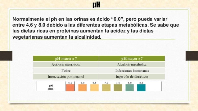 Examen general de orina