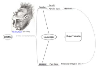 ¿En qué circunstancias ayudamos?http://bit.ly/5fl7GP (19/11/2009)¿A quiénes ayudamos?