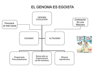 ¿Existe el altruismo?