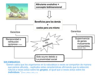 AlimenticiasGenéticasReproductivasSeguridadNecesidadesTieneSatisfacerQue necesitaSatisfacer paraGarantizar suSupervivencia y La de SU especieSerHumanoNecesitaGarantizarVentajas