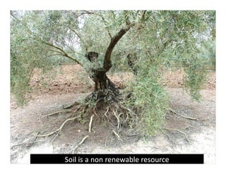 Soil is a non renewable resource
 