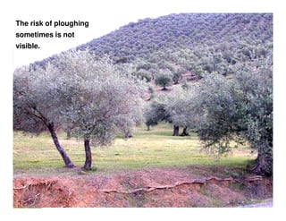 The risk of ploughing
sometimes is not
visible.
 