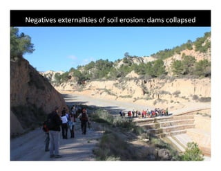 Negatives externalities of soil erosion: dams collapsed
                                erosion:
 