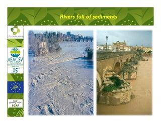 Rivers full of sediments
 