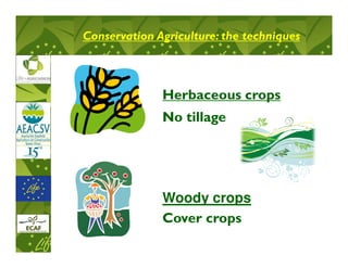 Conservation Agriculture: the techniques



              Herbaceous crops
              No tillage




              Woody crops
              Cover crops
 