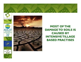 MOST OF THE
DAMAGE TO SOILS IS
    CAUSED BY
INTENSIVE TILLAGE
 BASED PRACTISES
 