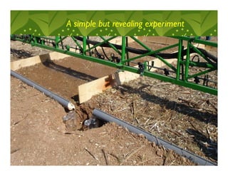 A simple but revealing experiment
La cobertura facilita la infiltración de agua en el perfil de suelo
 