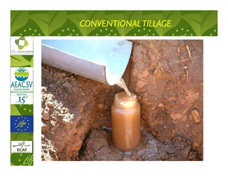 CONVENTIONAL TILLAGE
 