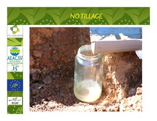 NO TILLAGE
 