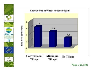 Labour time in Wheat in South Spain




                          4
                                    3,1
Time (hour per hectare)


                          3                      2,4


                          2                                   1,4


                          1


                          0



                          Conventional      Minimum       No Tillage
                            Tillage          Tillage
                                                                    Perea y Gil, 2005
 