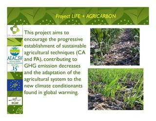 Proyect LIFE + AGRICARBON

This project aims to
encourage the progressive
establishment of sustainable
agricultural techniques (CA
and PA), contributing to
GHG emission decreases
and the adaptation of the
agricultural system to the
new climate conditionants
found in global warming.
 
