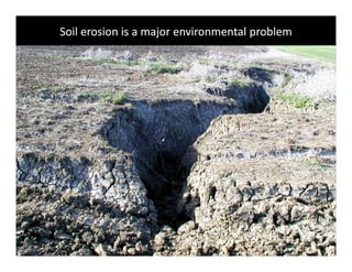 Soil erosion is a major environmental problem
 