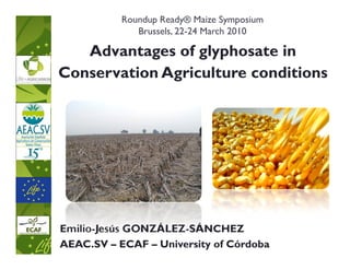 Roundup Ready® Maize Symposium
              Brussels, 22-24 March 2010
                        22-

   Advantages of glyphosate in
Conservation Agriculture conditions




Emilio-Jesús GONZÁLEZ-SÁNCHEZ
AEAC.SV – ECAF – University of Córdoba
 