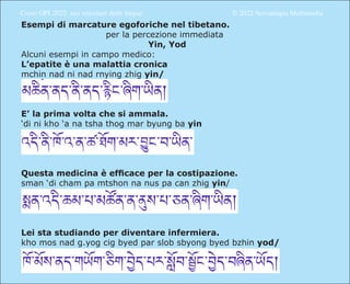 Corso OPI 2022: uso veicolare delle lingue					 © 2022 Novantiqua Multimedia
Esempi di marcature egoforiche nel tibetano.
...