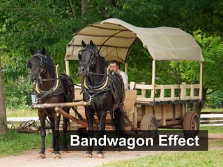 Bandwagon Effect
 