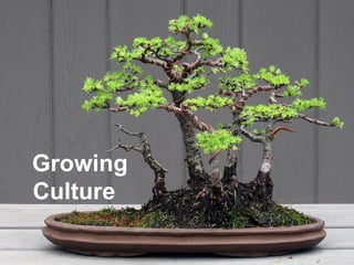 Growing
Culture
 