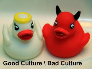 Good Culture  Bad Culture
 