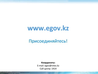 E gov | PDF
