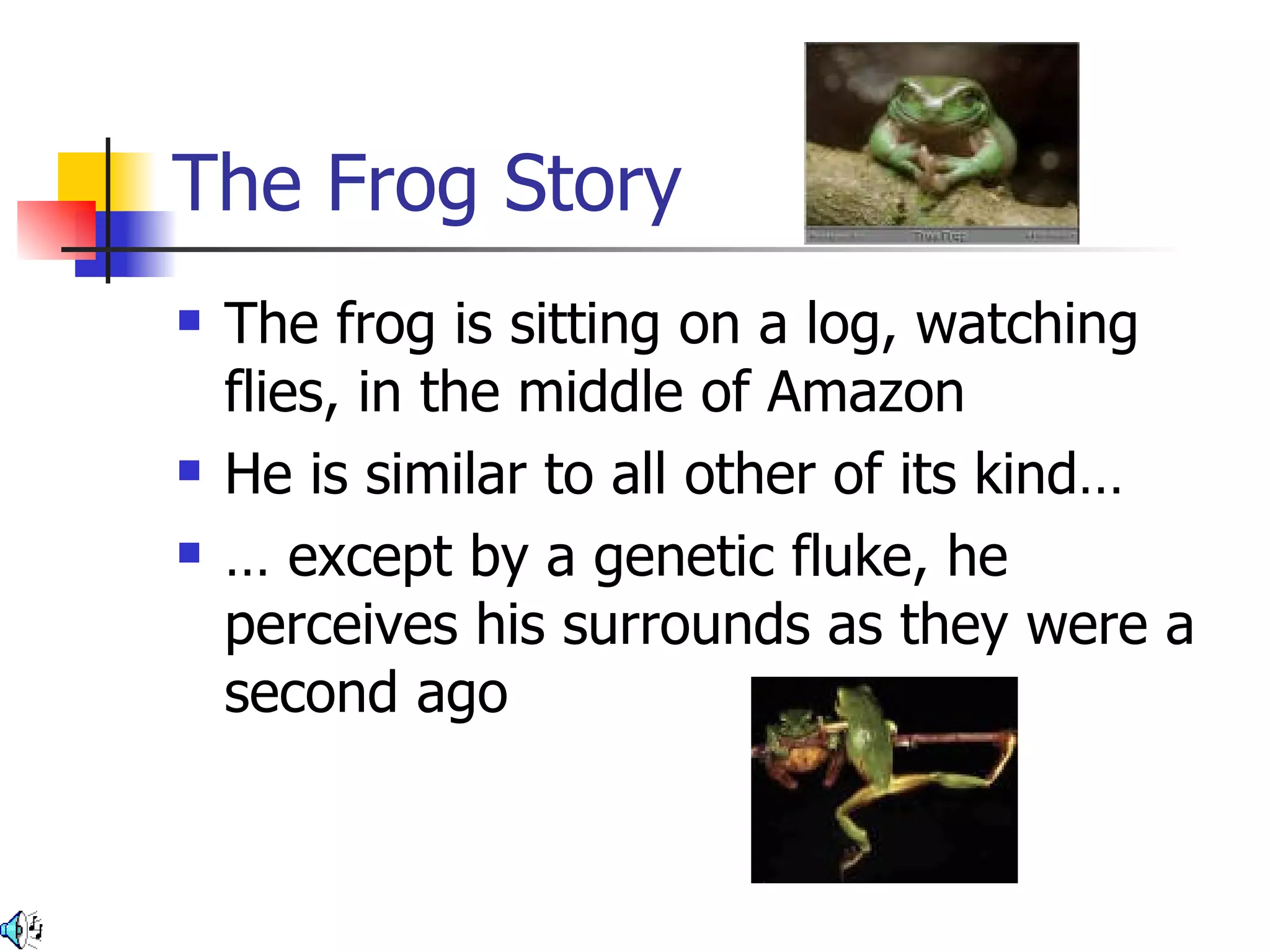 The Frog Story The frog is sitting on a log, watching flies, in the middle of Amazon He is similar to all other of its kind… … except by a genetic fluke, he perceives his surrounds as they were a second ago 
