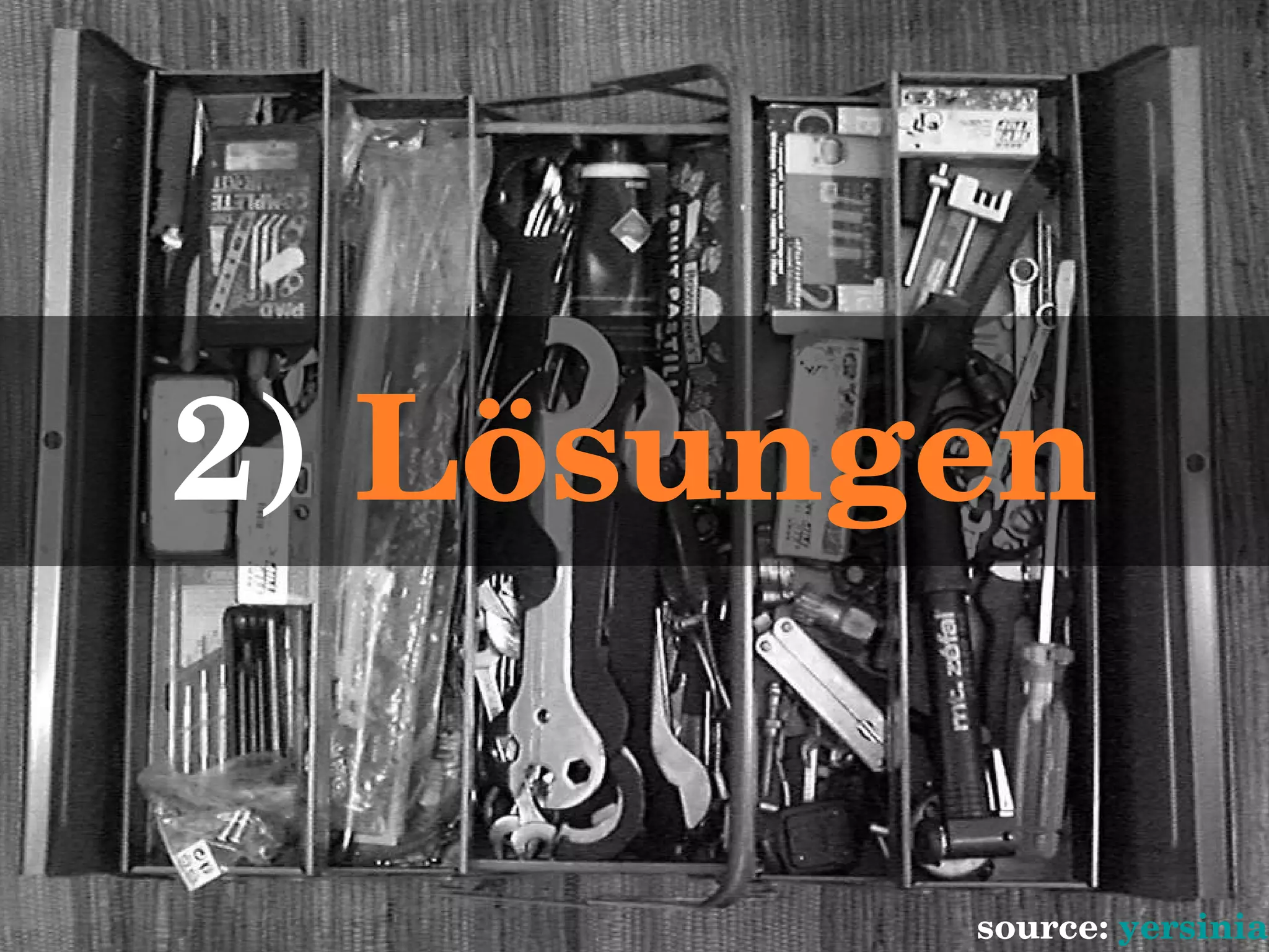 2)  Lösungen source:  yersinia   