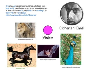 Entre las varias representaciones artísticas con
que se ha identi
fi
cado la soberbia se encuentran
el león, el caballo, el pavo real, el murciélago, el
color violeta y el espejo
.

http://es.wikipedia.org/wiki/Soberbia
Escher en Canal
http://es.wikipedia.org/wiki/Panthera_leo
http://es.wikipedia.org/wiki/Pavo_cristatus
fotobazar17.com
Violeta
http://es.wikipedia.org/wiki/Chiroptera
 