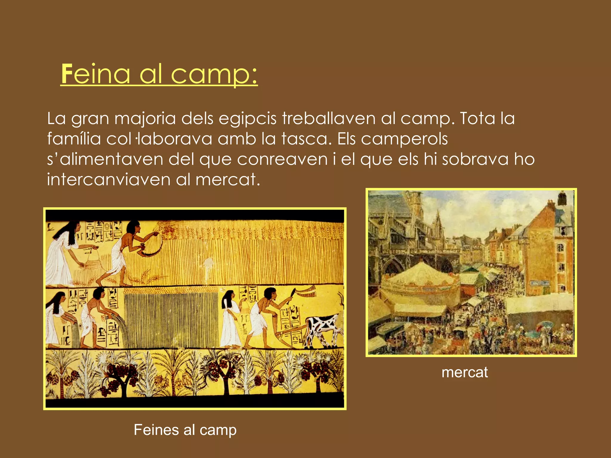 F eina al camp: La gran majoria dels egipcis treballaven al camp. Tota la família col·laborava amb la tasca. Els camperols s’alimentaven del que conreaven i el que els hi sobrava ho intercanviaven al mercat. mercat Feines al camp 