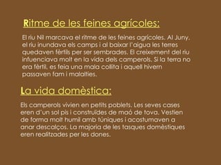 R itme de les feines agrícoles: El riu Nil marcava el ritme de les feines agrícoles. Al Juny, el riu inundava els camps i al baixar l’aigua les terres quedaven fèrtils per ser sembrades. El creixement del riu infuenciava molt en la vida dels camperols. Si la terra no era fèrtil, es feia una mala collita i aquell hivern passaven fam i malalties. L a vida domèstica: Els camperols vivien en petits poblets. Les seves cases eren d’un sol pis i construïdes de maó de tova. Vestien de forma molt humil amb túniques i acostumaven a anar descalços. La majoria de les tasques domèstiques eren realitzades per les dones. 