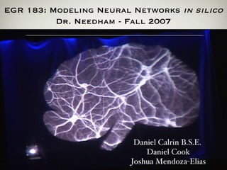 EGR 183: Modeling Neural Networks  in silico Dr. Needham - Fall 2007 Daniel Calrin B.S.E. Daniel Cook Joshua Mendoza-Elias 