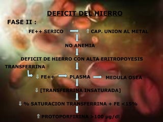 DEFICIT DEL HIERRO FASE II :    CAP. UNION AL METAL NO ANEMIA DEFICIT DE HIERRO CON ALTA ERITROPOYESIS TRANSFERRINA    FE++ SERICO PLASMA    FE++     [TRANSFERRINA INSATURADA]     % SATURACION TRANSFERRINA + FE <15%     PROTOPORFIRINA >100 µg/dl MEDULA OSEA 