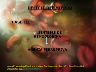DEFICIT DEL HIERRO FASE III :    SINTESIS DE HEMOGLOBINA ANEMIA FERROPRIVA Aisen P, Wessling-Resnick M, Leibold EA. Iron metabolism. Curr Opin Chem Biol 2000;3:200 206.  [ CrossRef] [Medline ]   