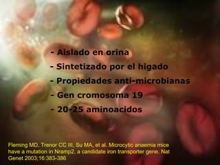 - Aislado en orina - Sintetizado por el higado - Propiedades anti-microbianas - Gen cromosoma 19 - 20-25 aminoacidos Fleming MD, Trenor CC III, Su MA, et al. Microcytic anaemia mice have a mutation in Nramp2, a candidate iron transporter gene. Nat Genet 2003;16:383-386  