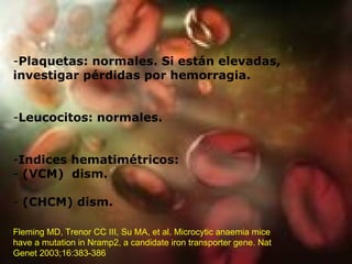 Plaquetas: normales. Si están elevadas, investigar pérdidas por hemorragia. Leucocitos: normales. Indices hematimétricos: (VCM)  dism. (CHCM) dism. Fleming MD, Trenor CC III, Su MA, et al. Microcytic anaemia mice have a mutation in Nramp2, a candidate iron transporter gene. Nat Genet 2003;16:383-386  