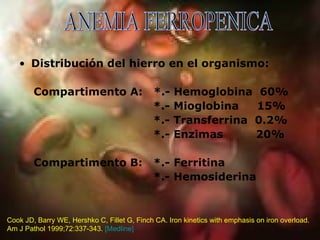Distribución  del hierro en el  organismo : Compartimento  A:  *.- Hemoglobina  60% *.- Mioglobina  15% *.- Transferrina  0.2% *.- Enzimas  20% Compartimento  B:  *.- Ferritina *.- Hemosiderina Cook JD, Barry WE, Hershko C, Fillet G, Finch CA. Iron kinetics with emphasis on iron overload. Am J Pathol 1999;72:337-343.  [Medline]   ANEMIA FERROPENICA 