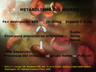 METABOLISMO DEL HIERRO Fe+  destrucción  SER     20-30mg   Ingesta  1-2 mg Incorpora   precursores   eritroides Sudor Orina heces 10%  Absorción   Proteasas del intestino    grupo hemo    Poll cell Kohn LT, Corrigan JM, Donaldson MS, eds. To err is human: building a safer health system. Washington, DC: National Academy Press, 2000.  