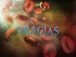 GRACIAS 