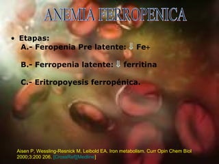 Etapas: A.- Feropenia Pre latente:    Fe  B.- Ferropenia latente:    ferritina C.- Eritropoyesis ferropénica. ANEMIA FERROPENICA Aisen P, Wessling-Resnick M, Leibold EA. Iron metabolism. Curr Opin Chem Biol 2000;3:200 206.  [ CrossRef] [Medline ]   