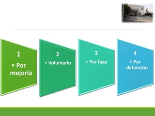 1
• Por
mejoría
2
• Voluntario
3
• Por fuga
4
• Por
defunción
2
• Voluntario
 