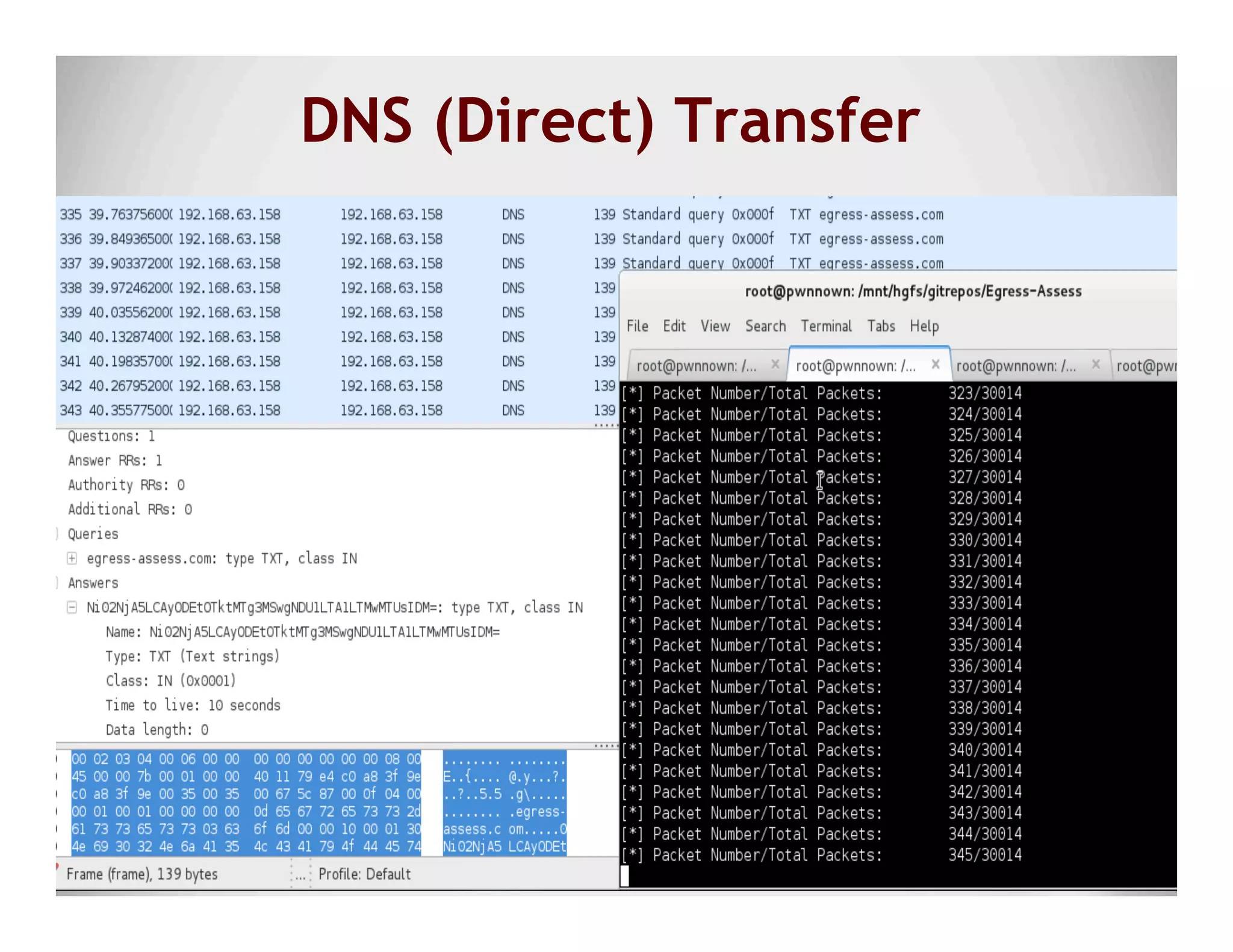 DNS (Direct) Transfer
 