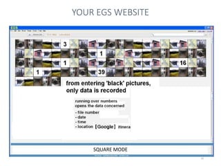 10
YOUR EGS WEBSITE
SQUARE MODE
 