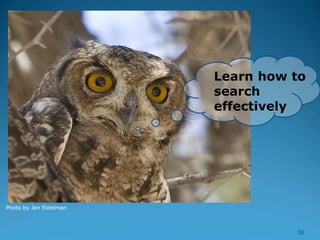 Photo by Jen Eidelman
Learn how to
search
effectively
38
 