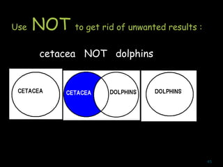 Use NOT to get rid of unwanted results :
cetacea NOT dolphins
45
 