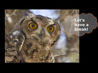 Let’s
have a
break!
Photo by Jen Eidelman
 